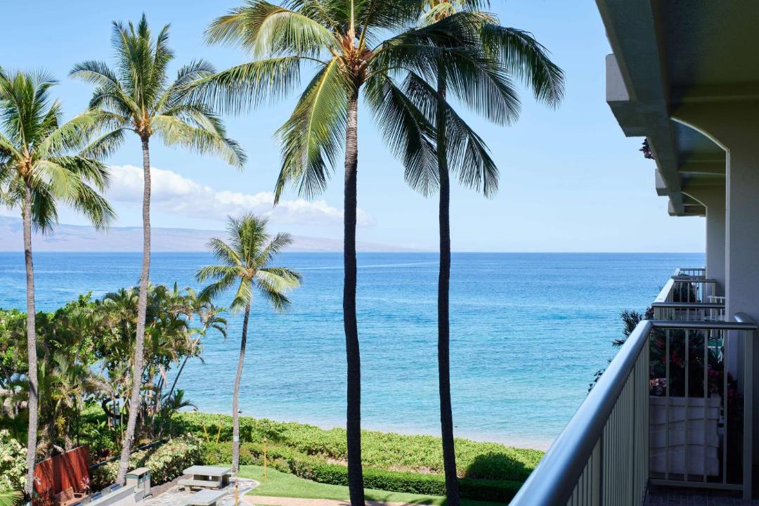 Photo of Others in Kaanapali