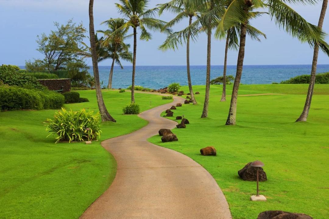 Photo of Others in Poipu