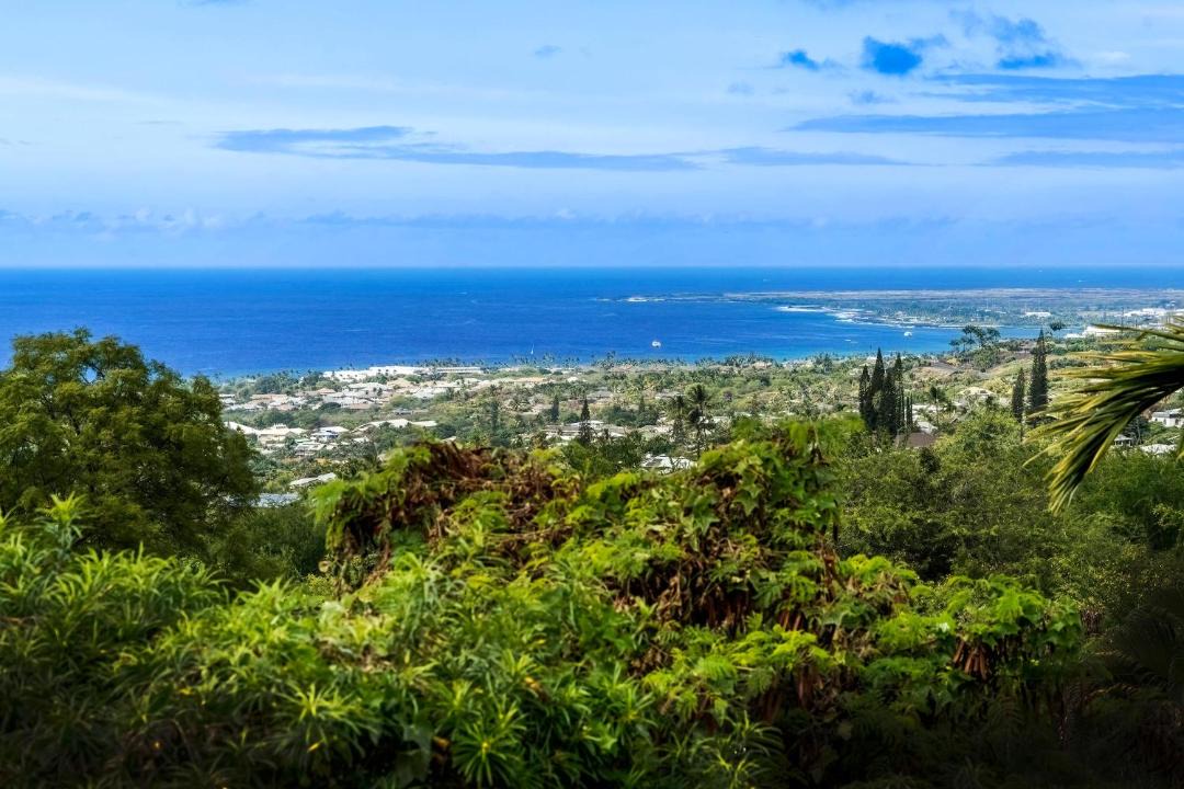 Photo of Others in Historic Kailua Village