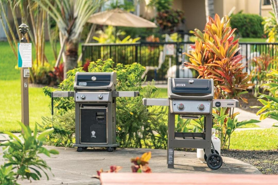 Photo of Others in Kahaluu-Keauhou