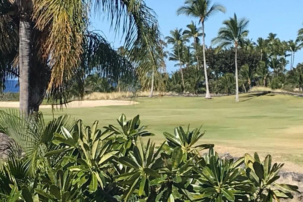 Photo of Others in Waikoloa