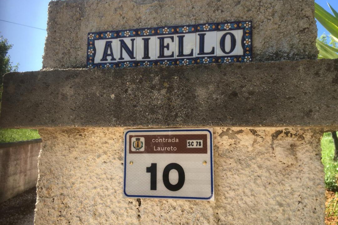 Photo of Buildings in Locorotondo