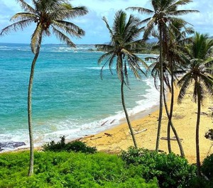 Wailua Bay 