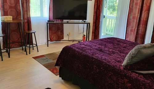 Junior Studio Suite