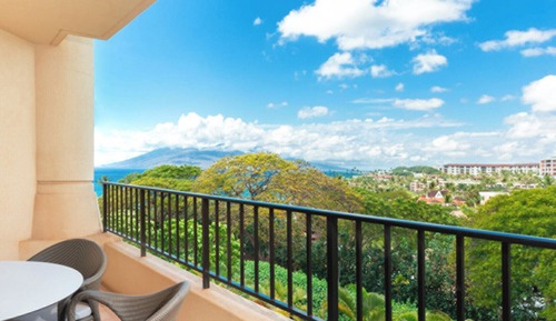 Garden View Room