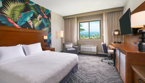 Room, 1 King Bed