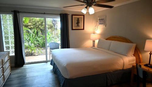 Junior Suite, 1 King Bed, Accessible Roll-In Shower, Garden View