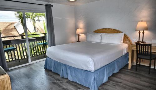 Junior Suite, 1 King Bed, Garden View