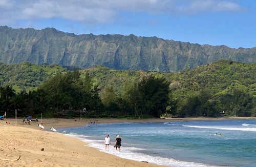 Princeville Condo | Princeville Delight! COLD A/C, Sleeps 4, Pool & Jacuzzi, Private Lanai & Space