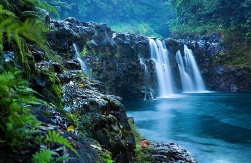 Hilo House | The Falls at Reed's Island