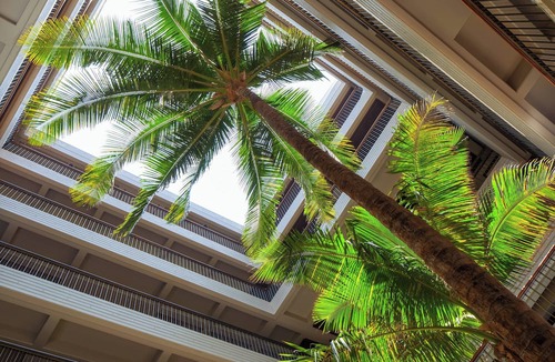 Kamuela Resort | Mauna Kea Beach Hotel, Autograph Collection