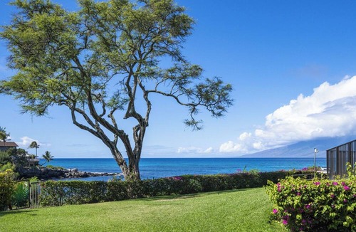 Napili Apartment | Napili Point A26 ~ Cozy Ground-Floor 1BD Ocean Front Views
