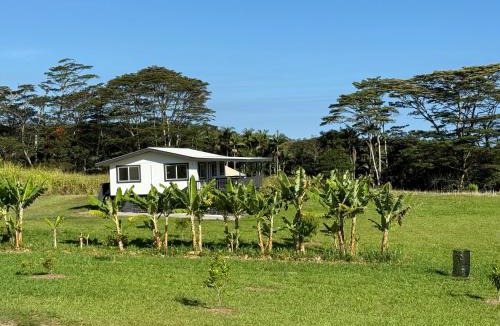 Honomu House | Luxury Farm Stay with Hot Tub, Cold Plunge and Cuddle Cows