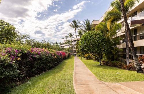 Kihei Hotel | Studio with 2 Beds in Maui Banyan Kihei
