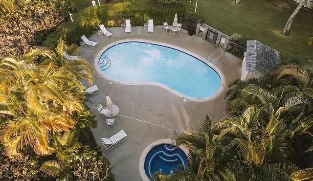 Family and Friends Vacation! Spacious Pool View Suite + Living Area and Kitchen
