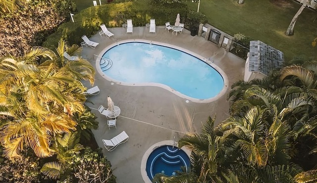 Your Unbeatable Experience! Amazing Suite + Kitchen | Close to Local Attraction