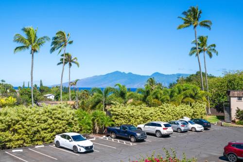 Walk to Napili Bay Beach! Mtn-View Lahaina Condo
